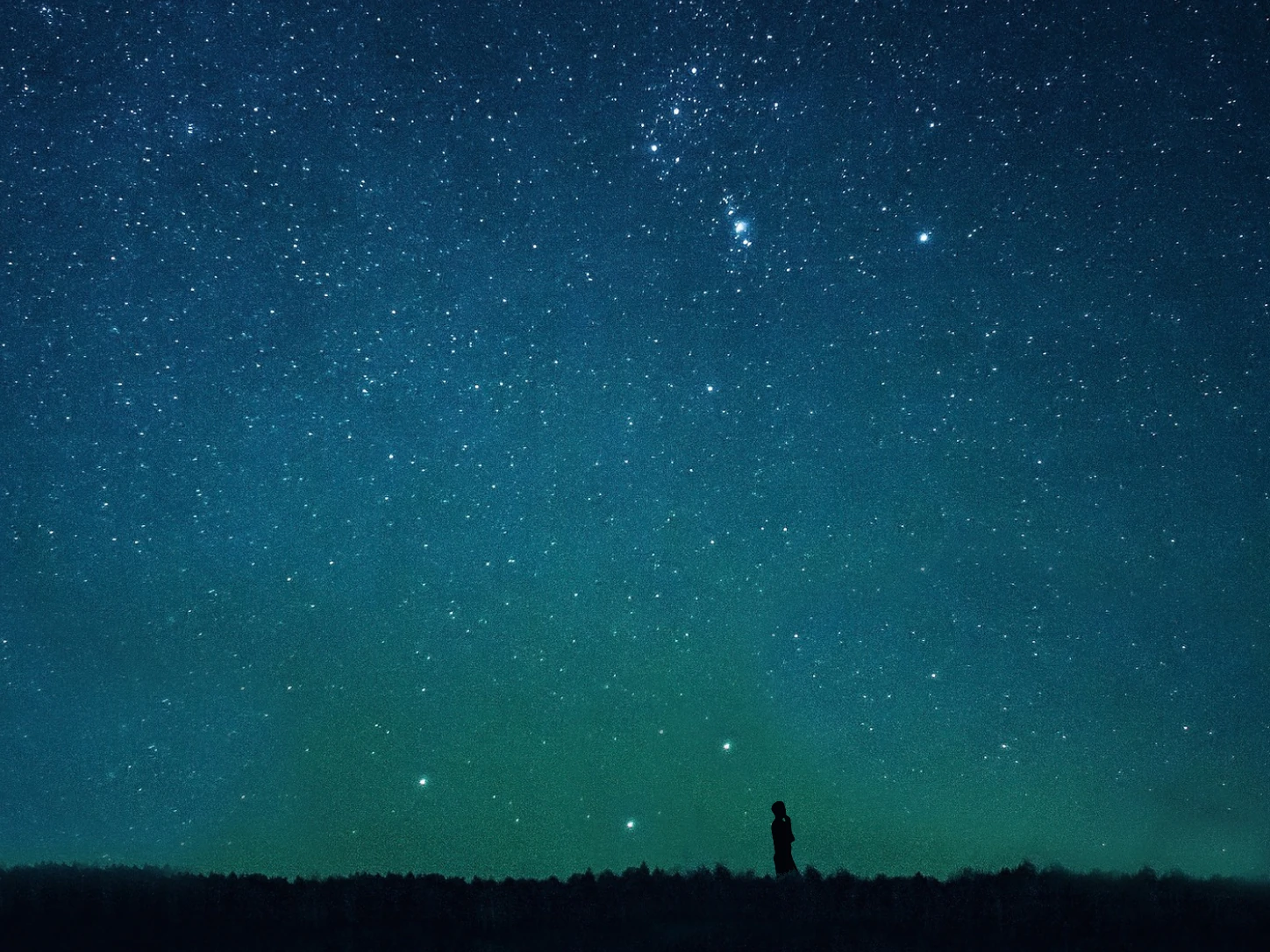 One small black silhouette standing alone beneath a wide starry sky
